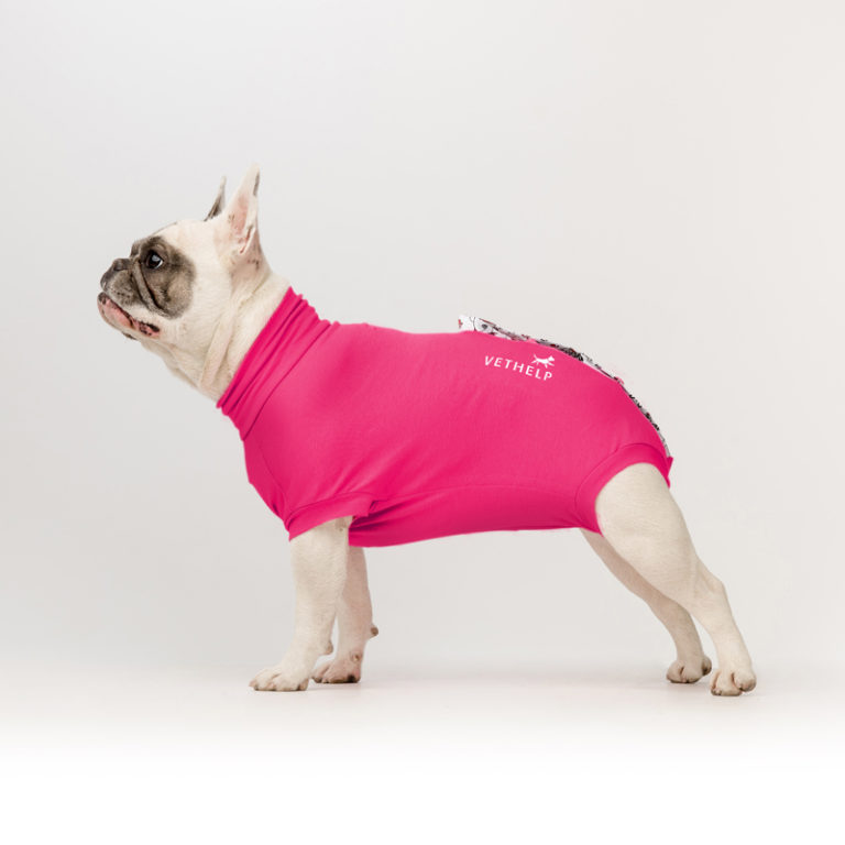 dog with pink recovery suit made from organic cotton