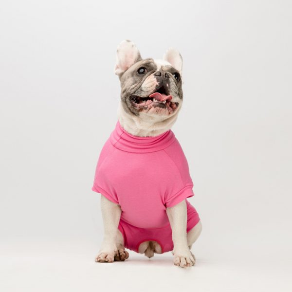 French bulldog wearing the Vethelp Recovery suit, an alternative to the plastic collar.